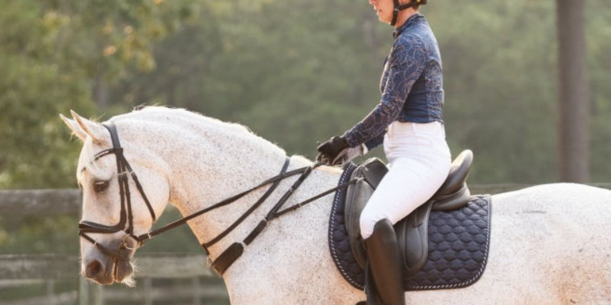 Training Breastplates