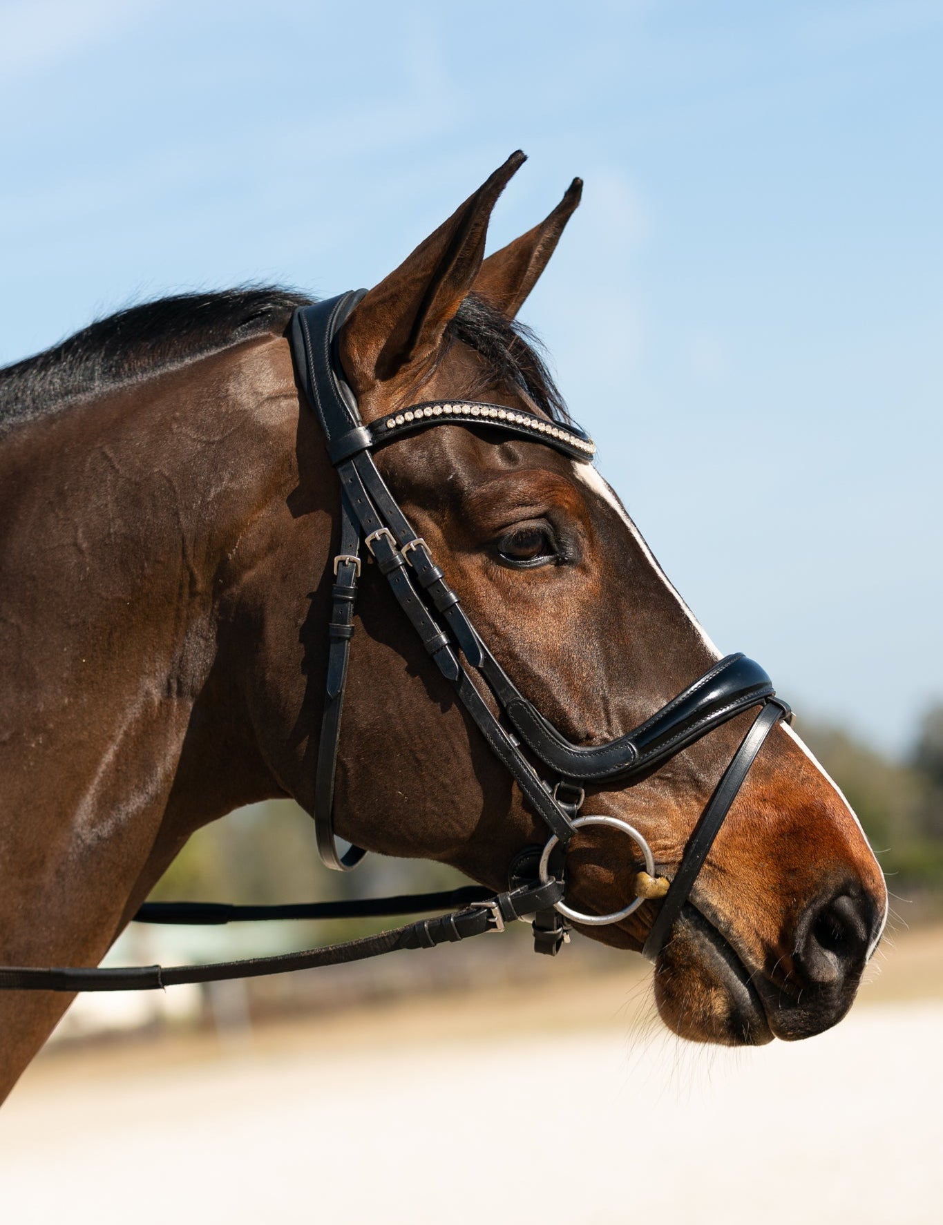 Browbands