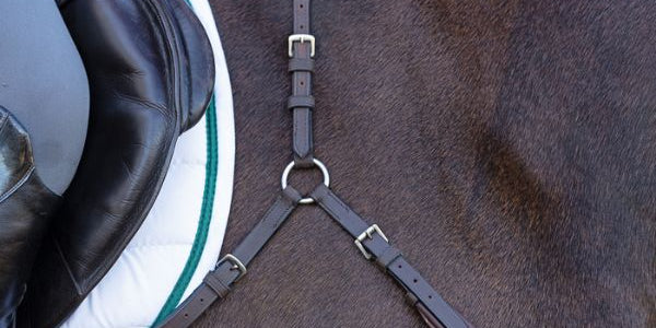 Breastplates and Martingales