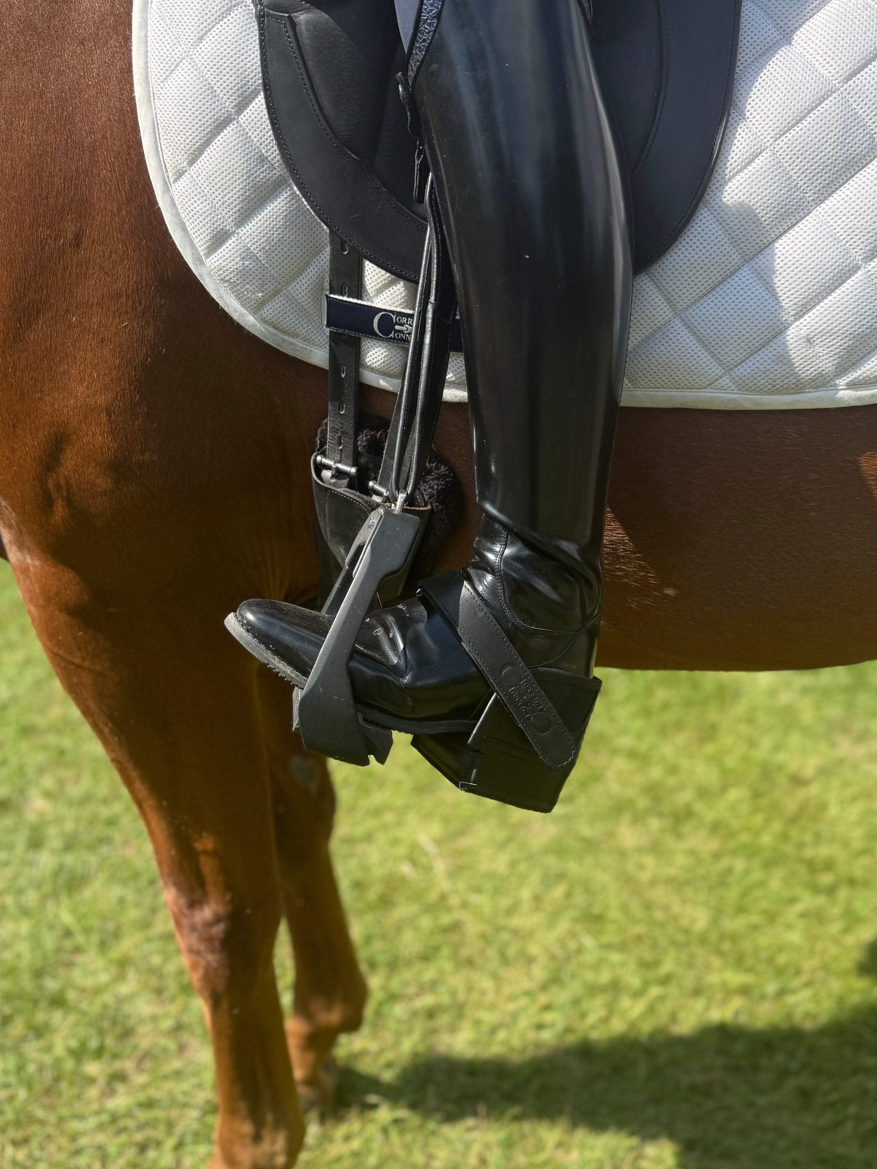 Equisole EXternal-Weighted Training Aid for Equestrians New Product Alert