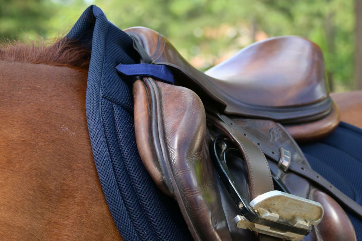 General Purpose Mesh Saddle Pad with Quick Dry Cotton Lining in Navy, White, or Black