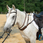 3-in-1 Training Breastplate