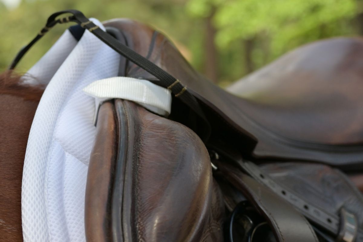 General Purpose Mesh Saddle Pad with Quick Dry Cotton Lining in Navy, White, or Black