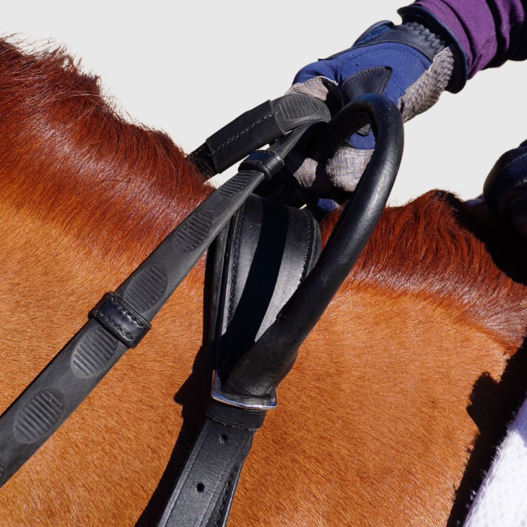 Free Motion Breastplate with Double Neck Strap