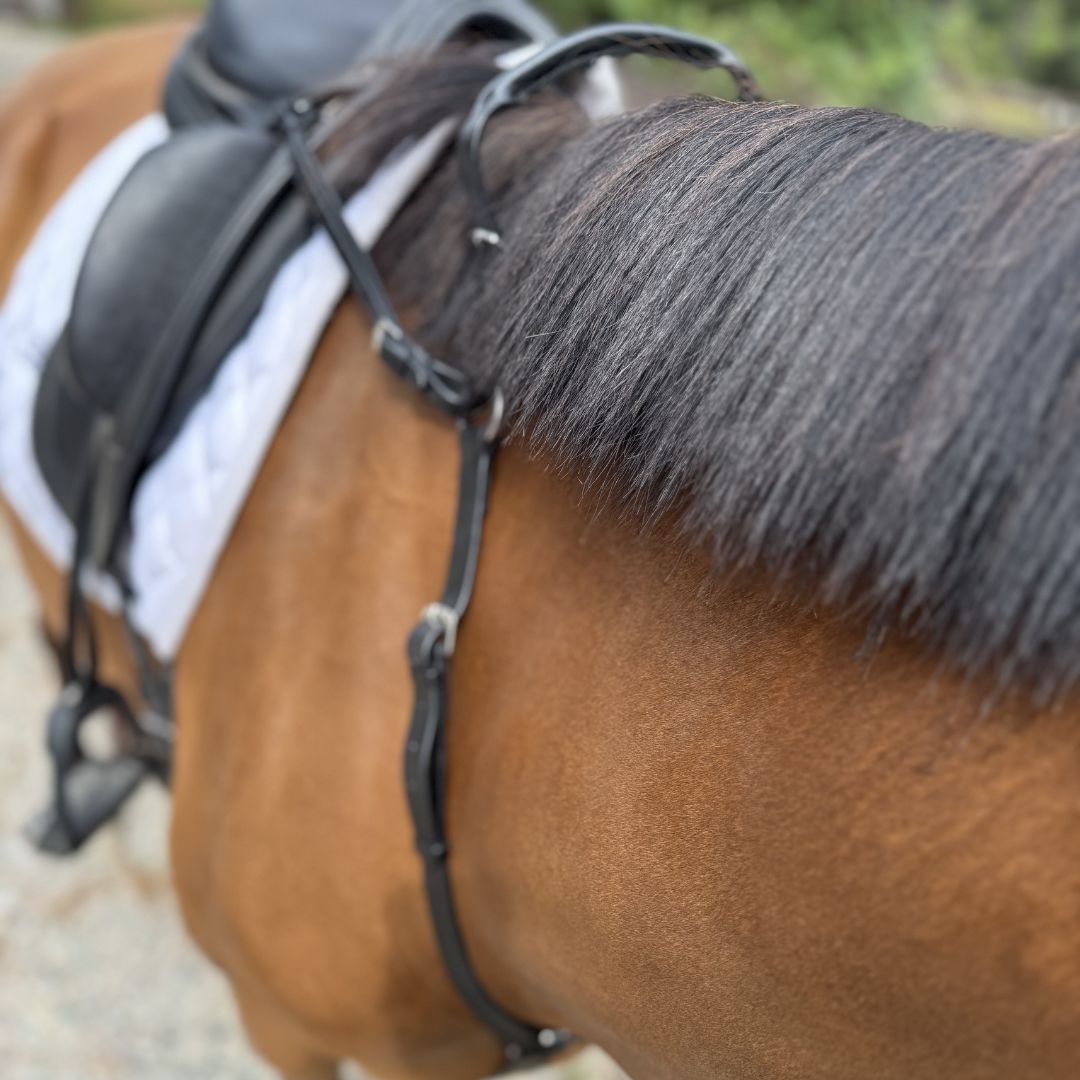 3-Point Breastplate with Double Neck Strap