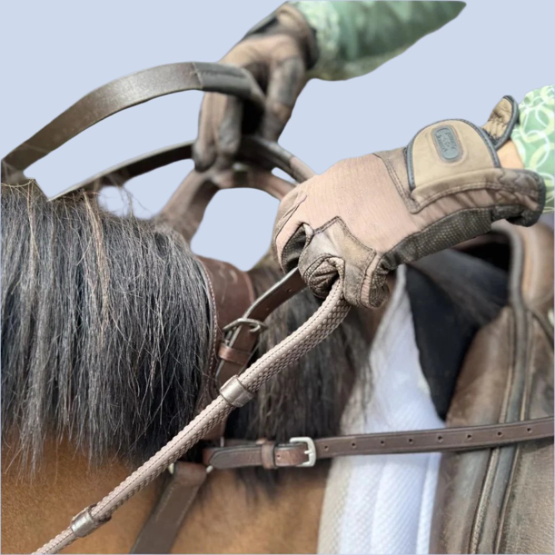 3-Point Breastplate with Double Neck Strap