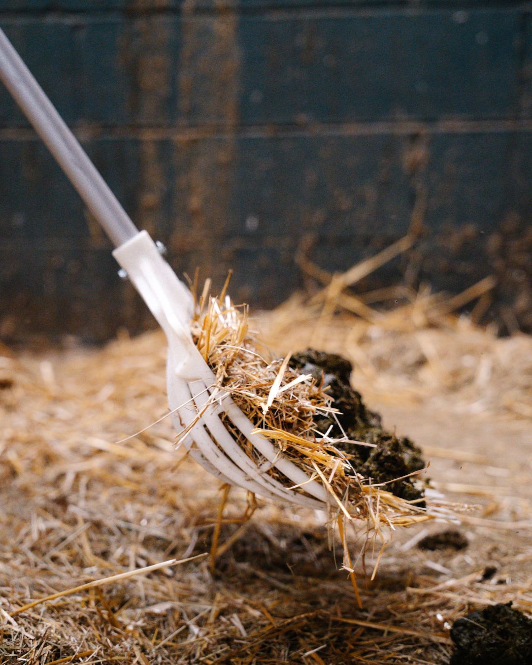 Heavy Duty Manure Fork with Aluminum Handle