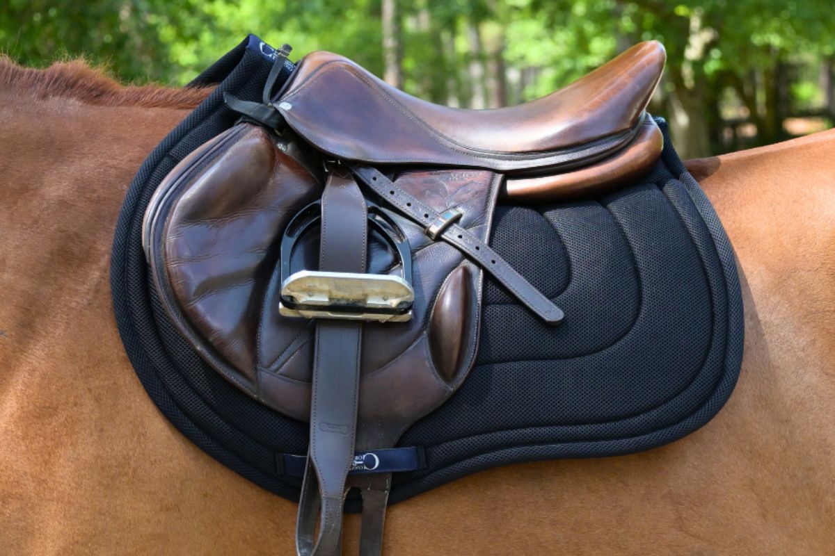 General Purpose Mesh Saddle Pad with Quick Dry Cotton Lining in Navy, White, or Black