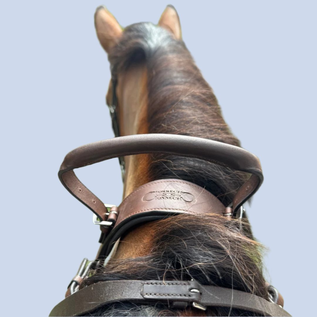 3-Point Breastplate with Double Neck Strap