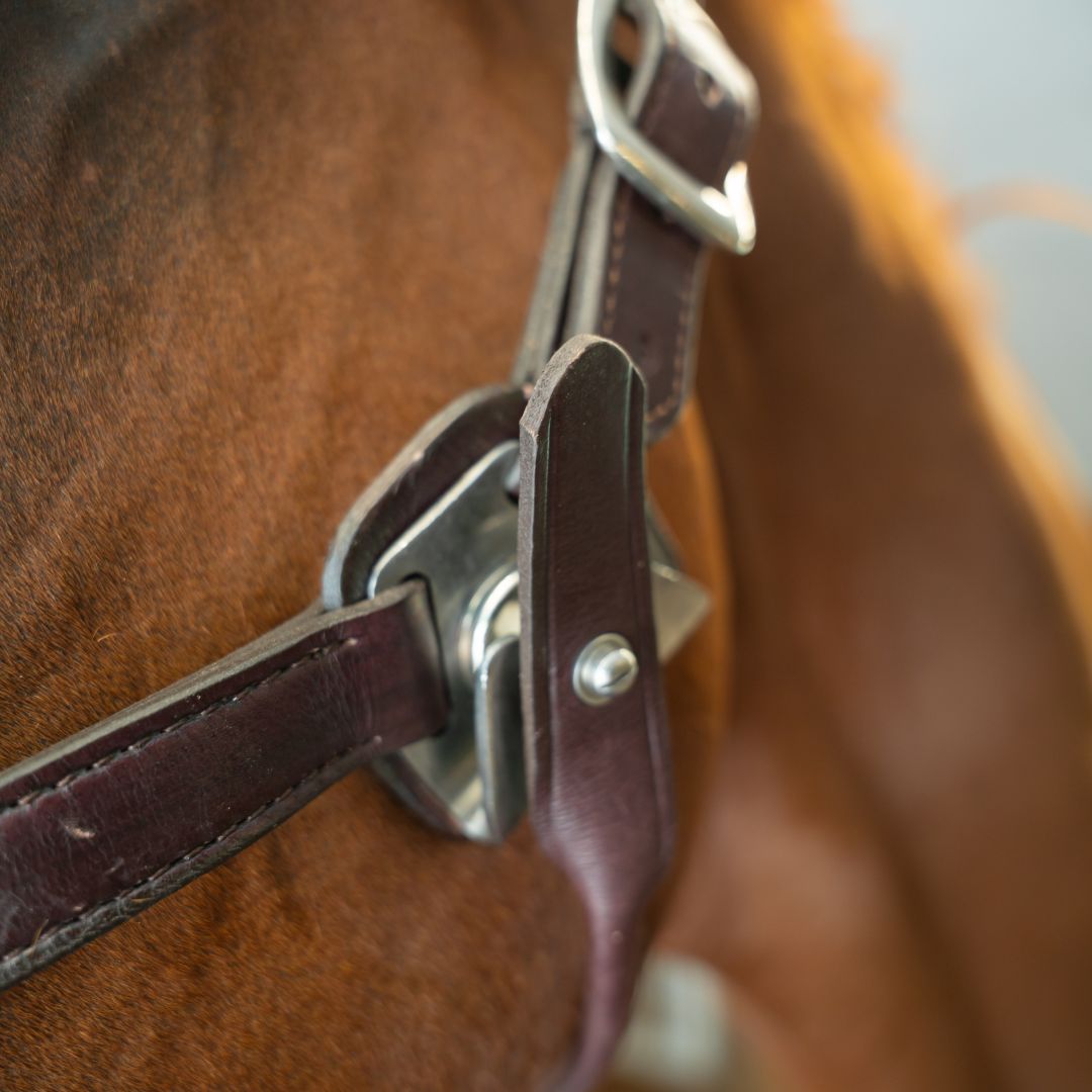 Leather Magna Halter ™