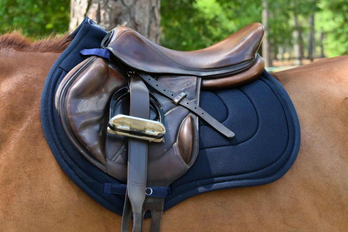 General Purpose Mesh Saddle Pad with Quick Dry Cotton Lining in Navy, White, or Black