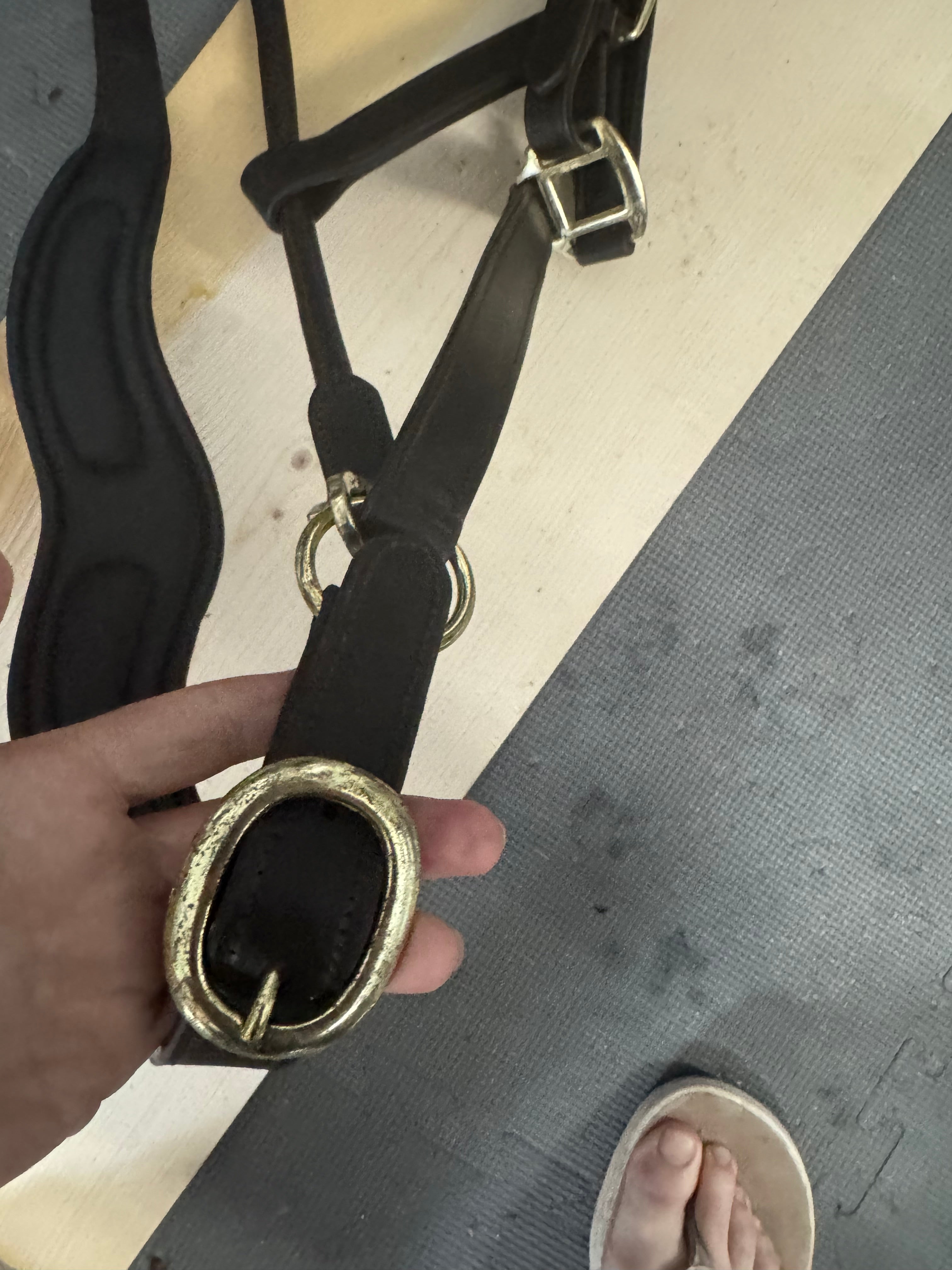 Oversize Ergonomics Halter Samples