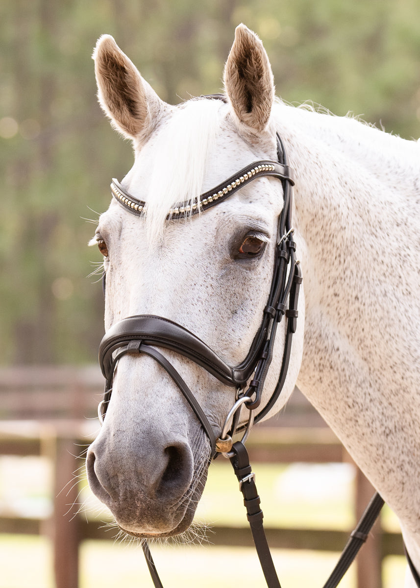 CC-1-blackbridle-crop_d42c4541-8589-4047-b918-36d6d051d3c2.jpg