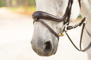 Hidden Flash!  Pro-Fit Comfortable Bridle in Havana Brown or Black with Flash Noseband and Clincher Browband