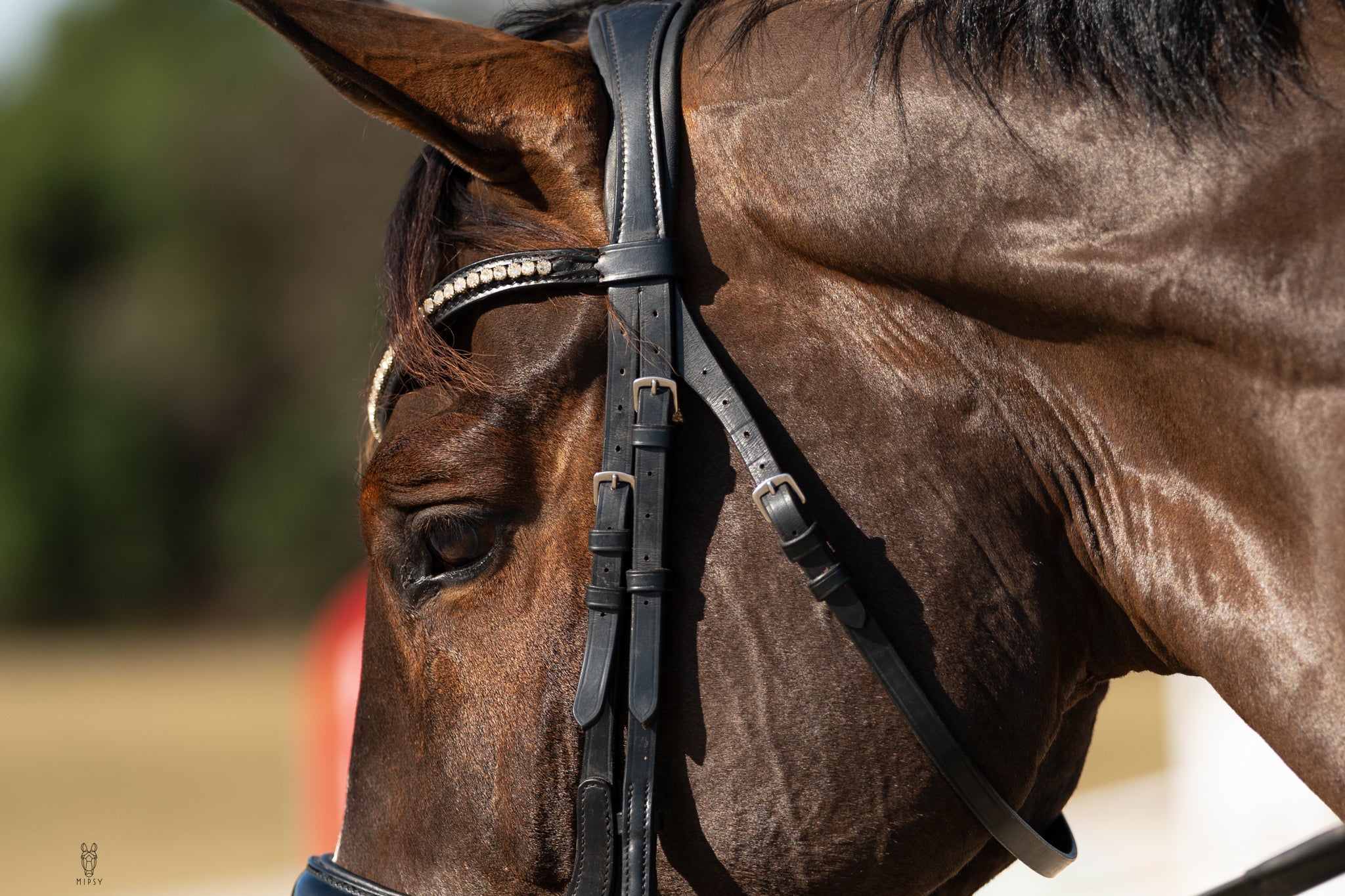 Hidden Flash!  Pro-fit Comfortable Bridle with Patent Noseband and Crystal Browband
