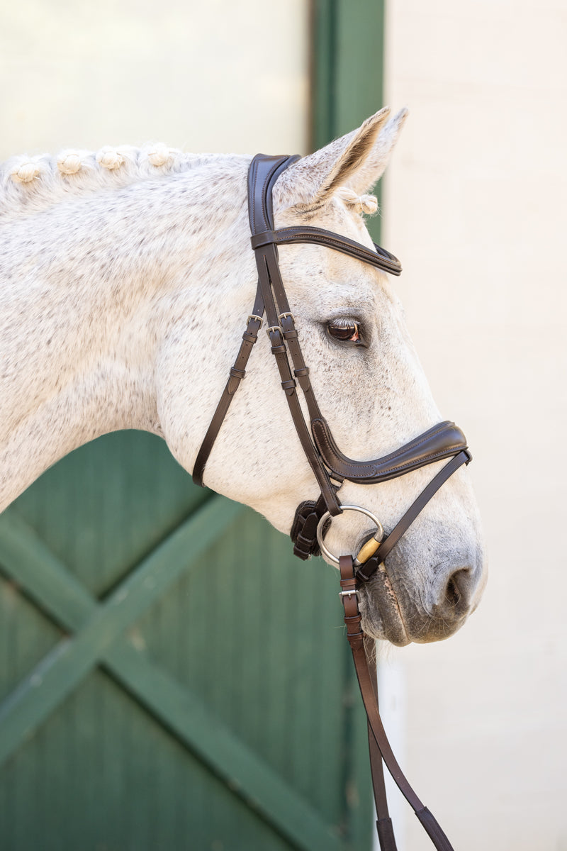 Hidden Flash!  Pro-Fit Comfortable Bridle in Havana Brown