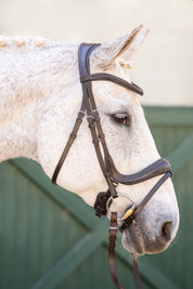 Hidden Flash!  Pro-Fit Comfortable Bridle in Havana Brown