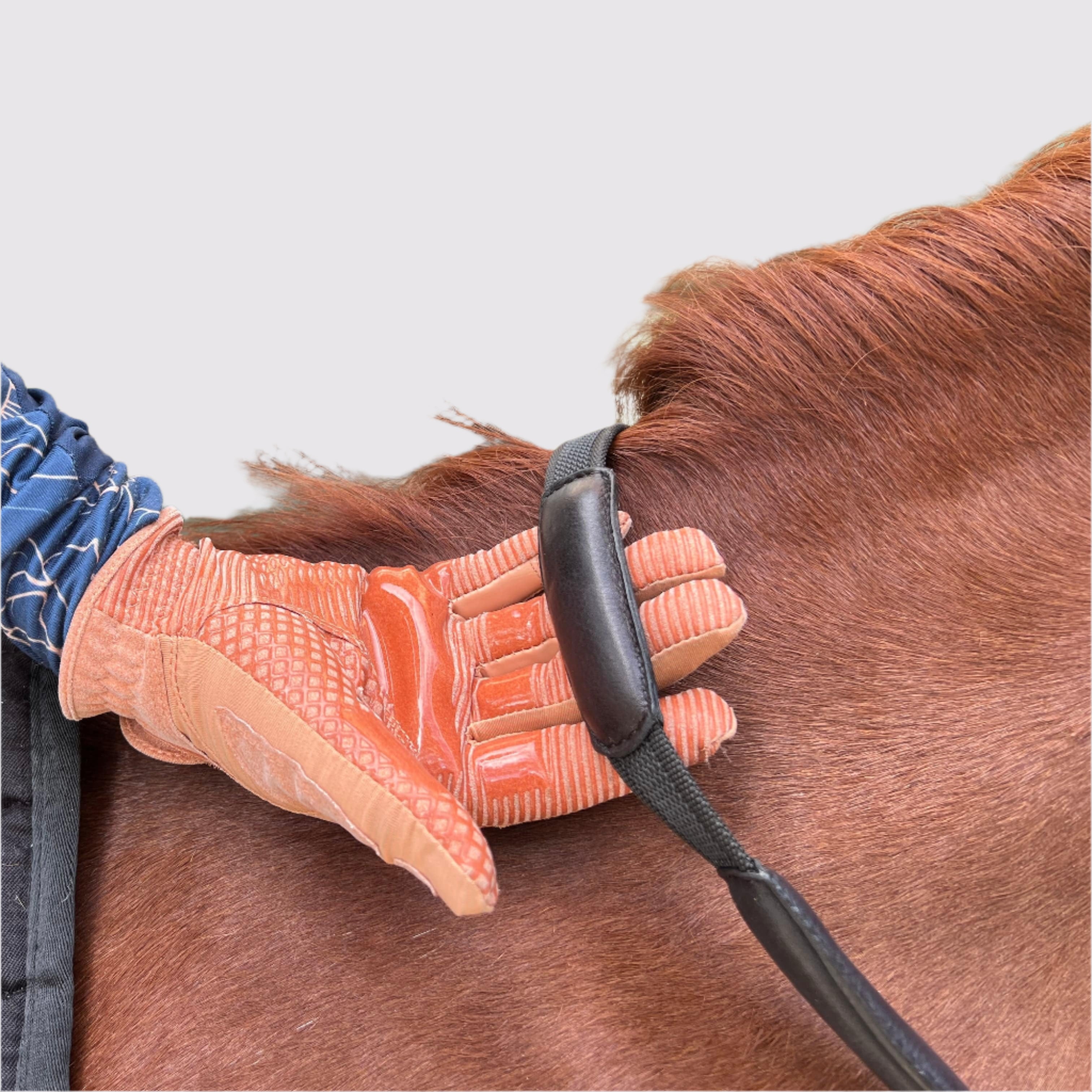 Comfort_Connect_Reins_4.jpg