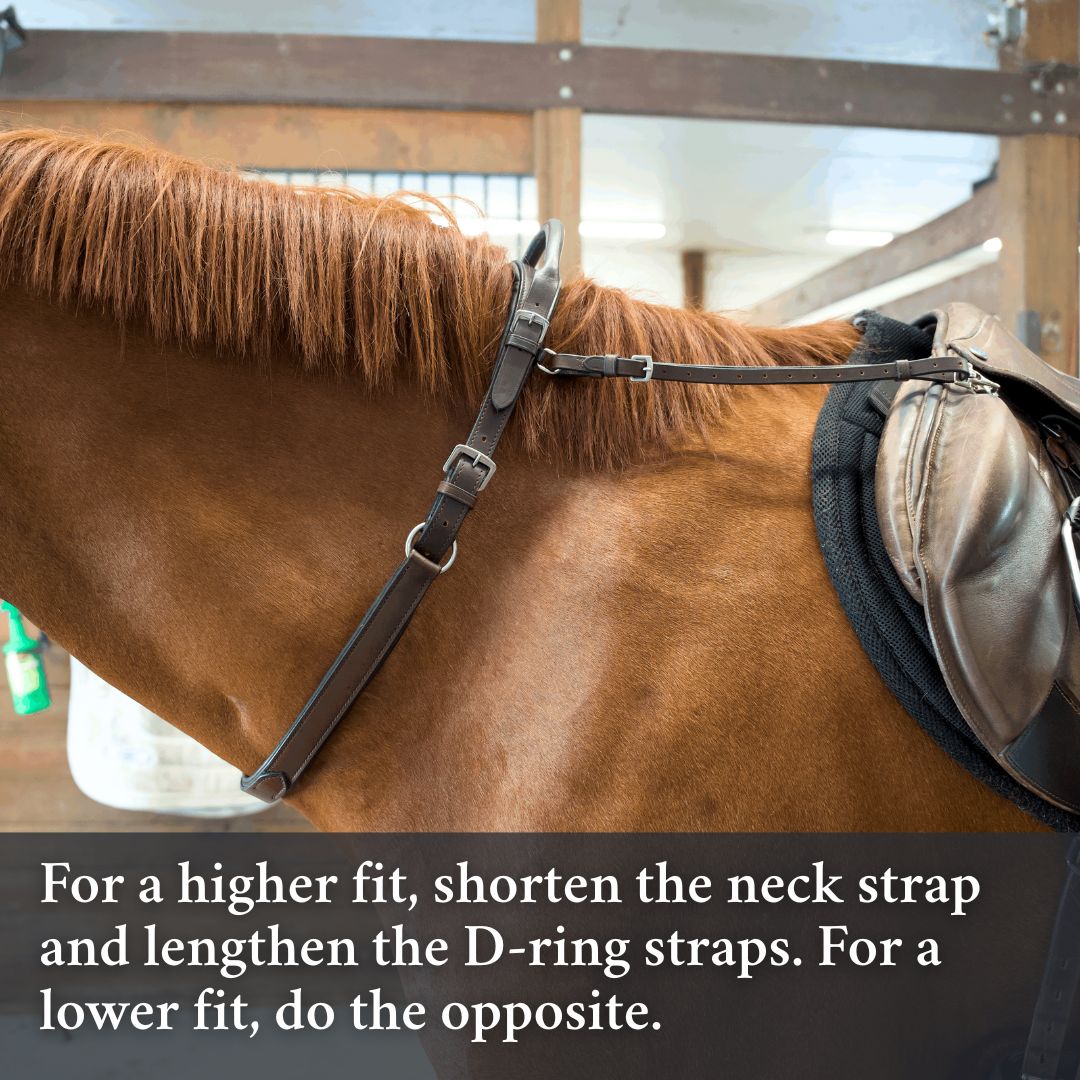 Showing A Higher Fit For The Brown Correct Connect Double Neck Strap.