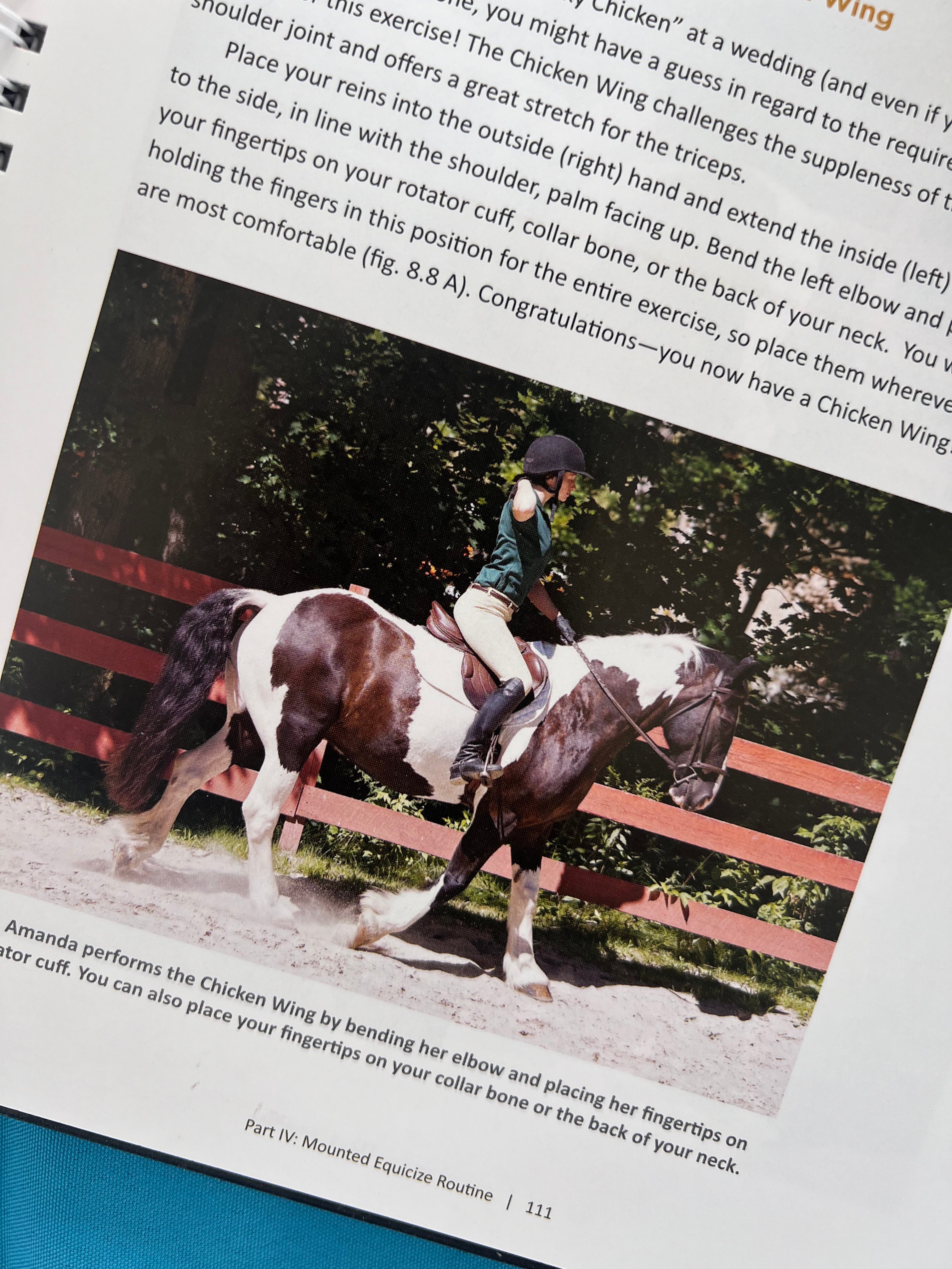 Equisize by Sally Batton and Christina Keim
