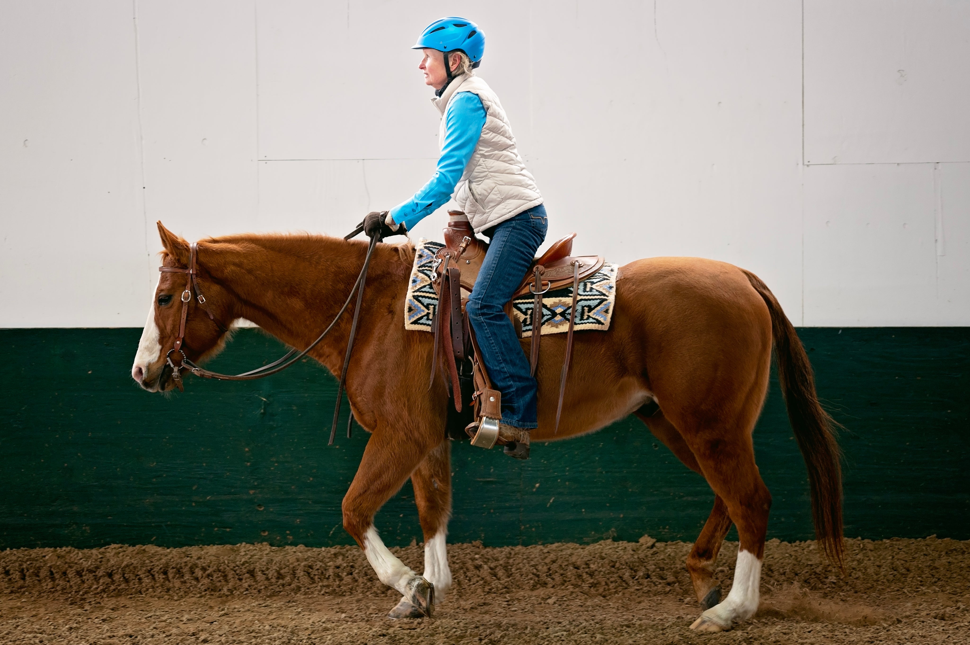 Equisize by Sally Batton and Christina Keim