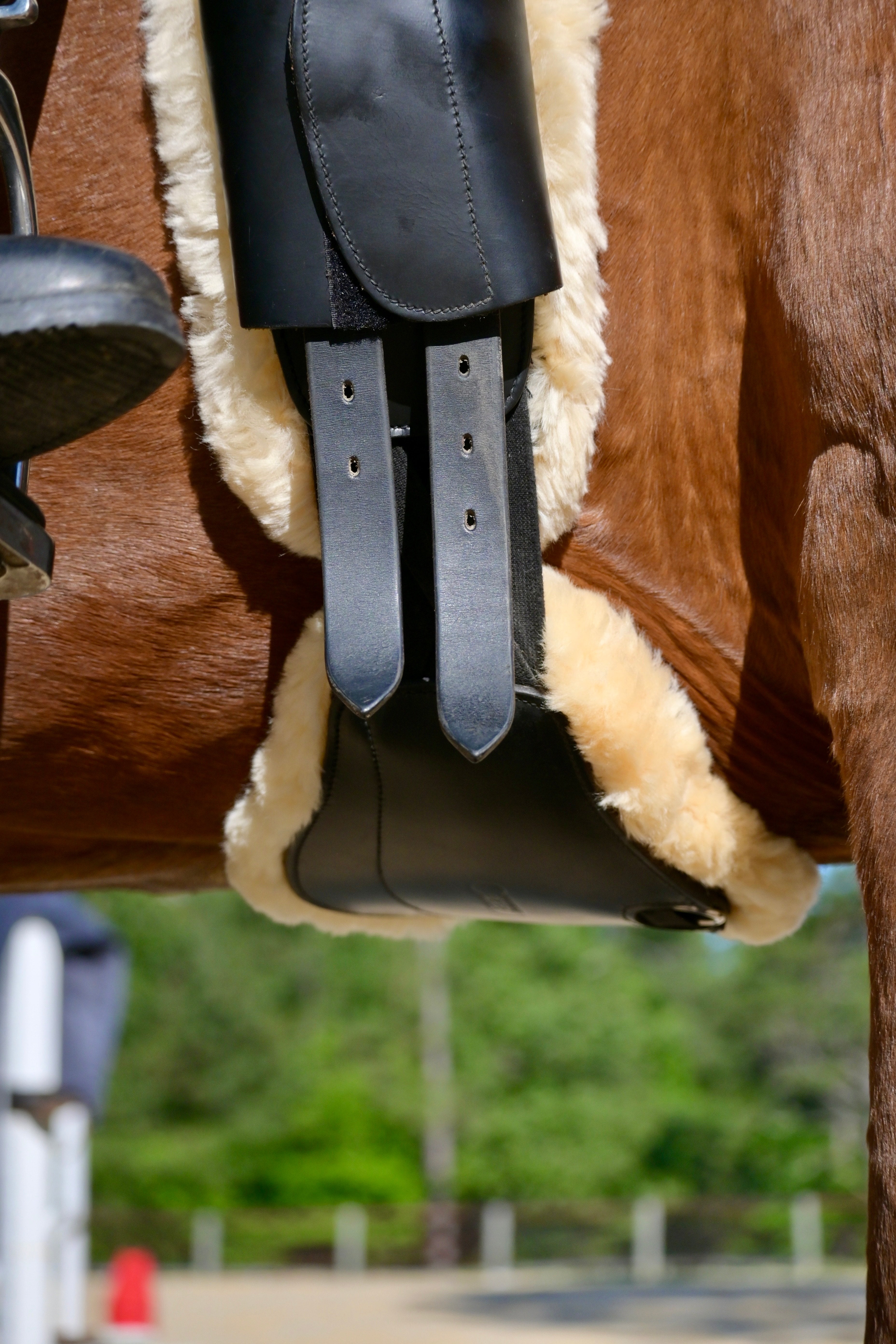 Genuine Sheepskin Pads for Short Comfort Girth