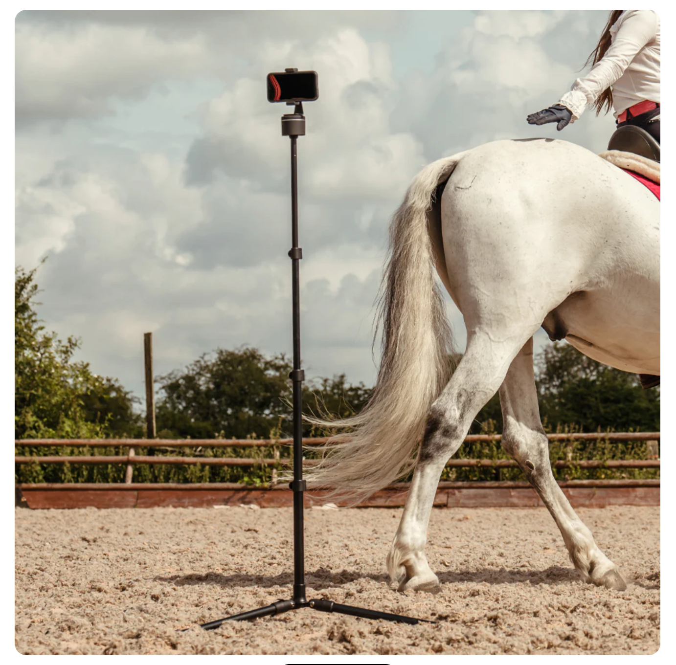 Pivo Tripod
