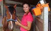 Grooming Box with Stall Hooks