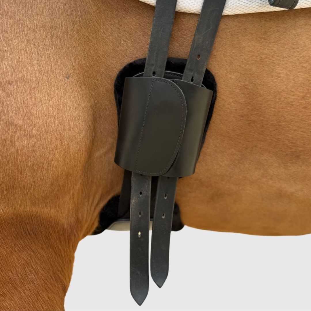Untitleddesign_1.jpg