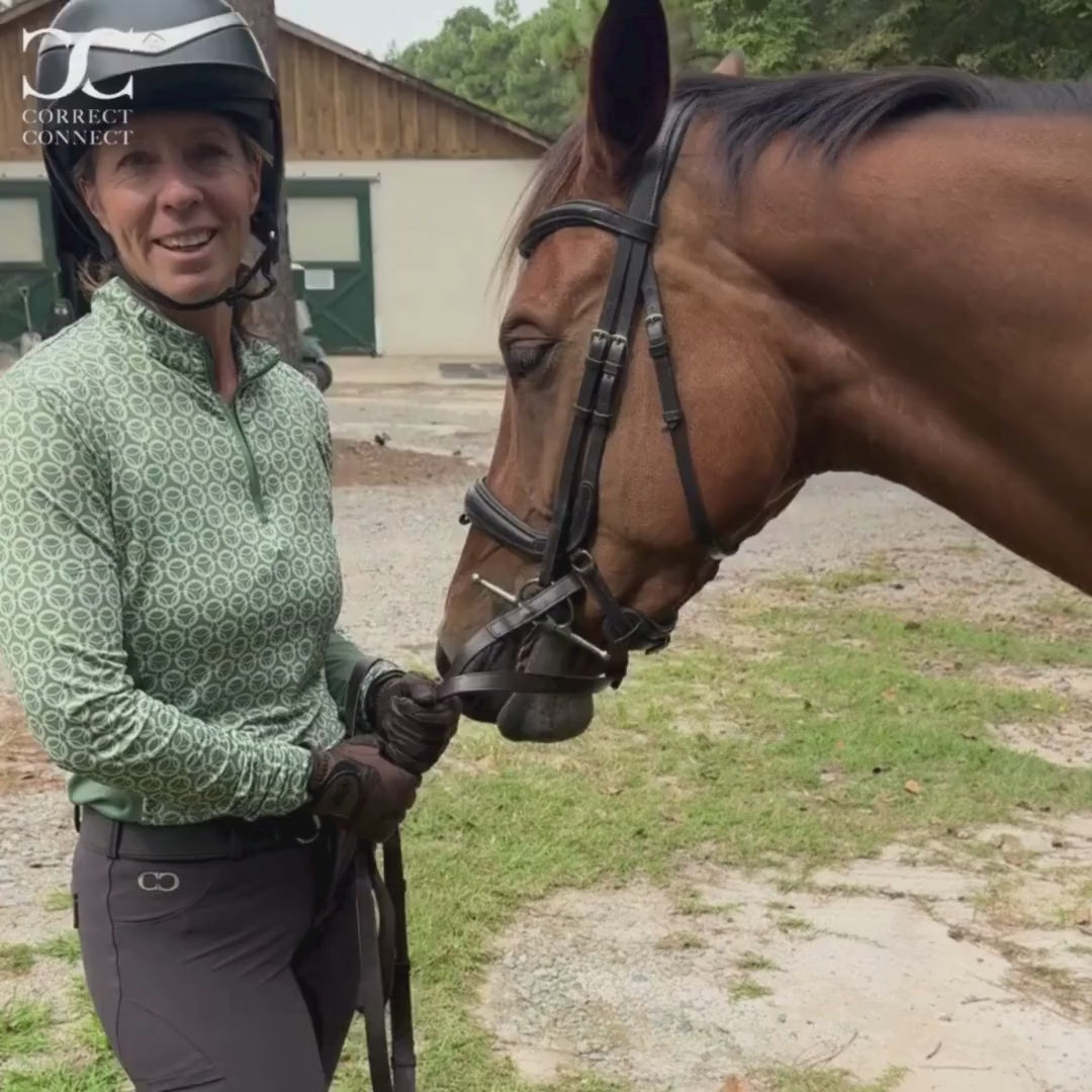 3-Point Breastplate with Double Neck Strap