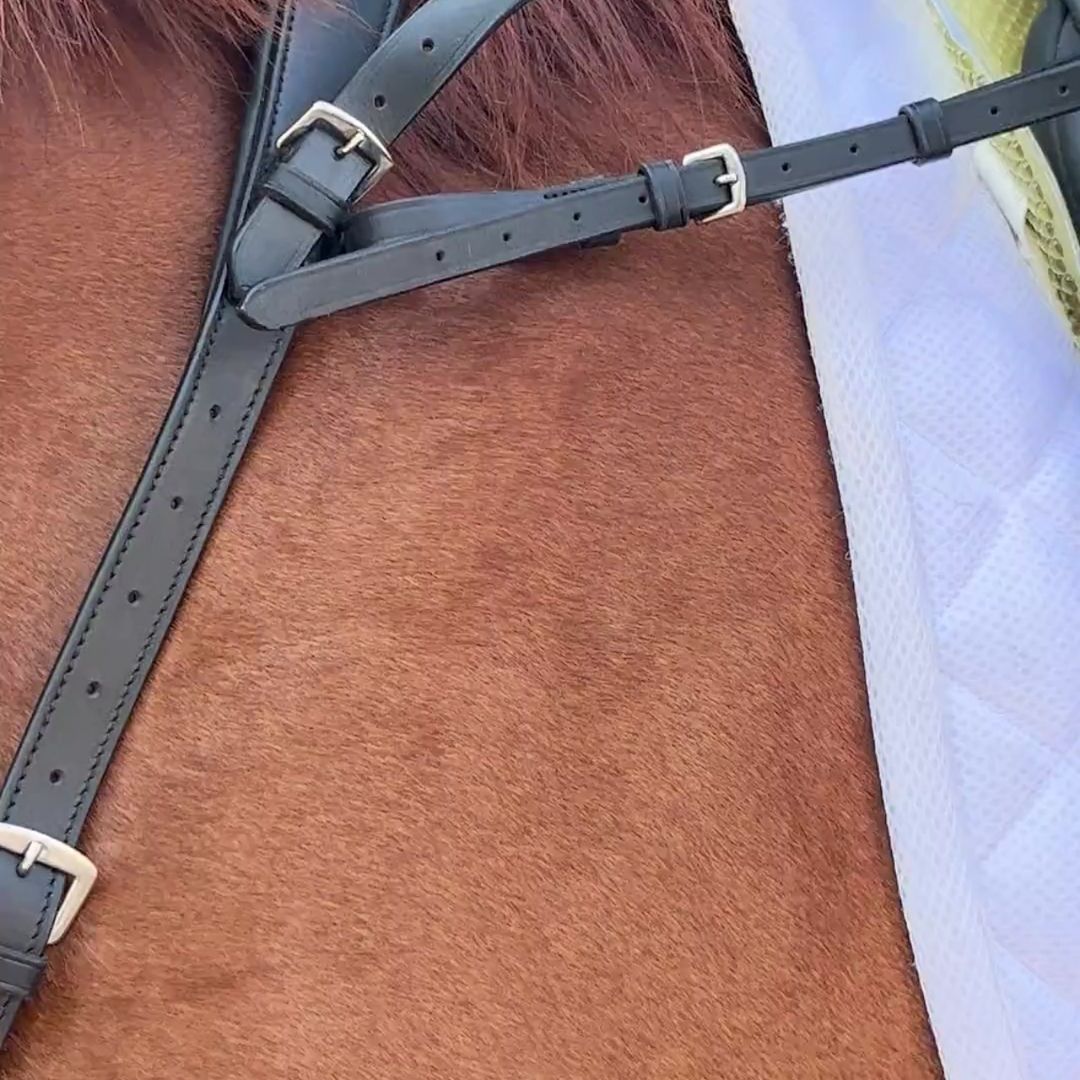 Double_Neck_Strap_Extra_Long_Add-On_Strap.jpg