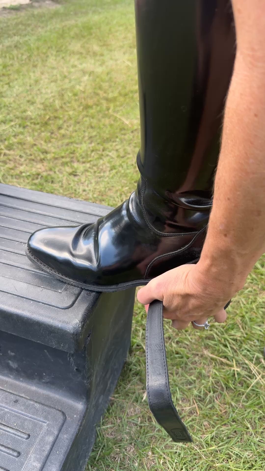 Equisole EXternal-Weighted Training Aid for Equestrians New Product Alert