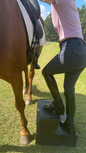 Equisole EXternal-Weighted Training Aid for Equestrians New Product Alert