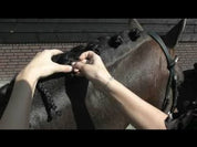 Quick Knot Deluxe Braiding Pins