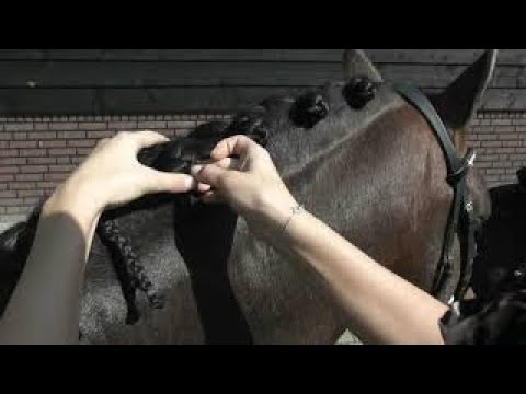 Quick Knot Deluxe Braiding Pins