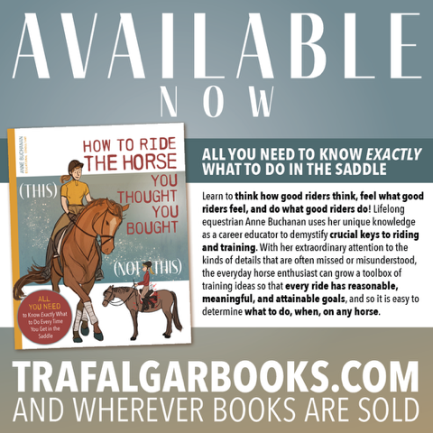 How to Ride the Horse you Thought you Bought by Anne Buchanan