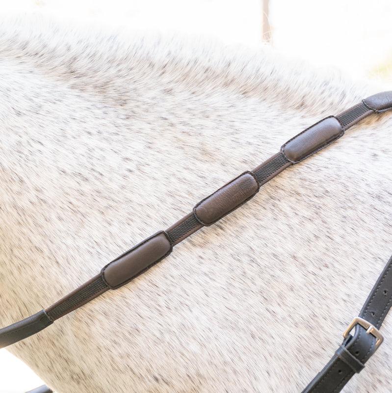 Comfort_Connect_Reins_1.jpg